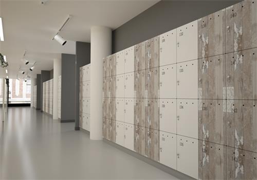 Compact Laminate Locker 2