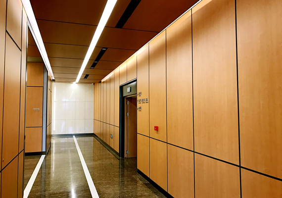 Wall Hanging Wall Cladding